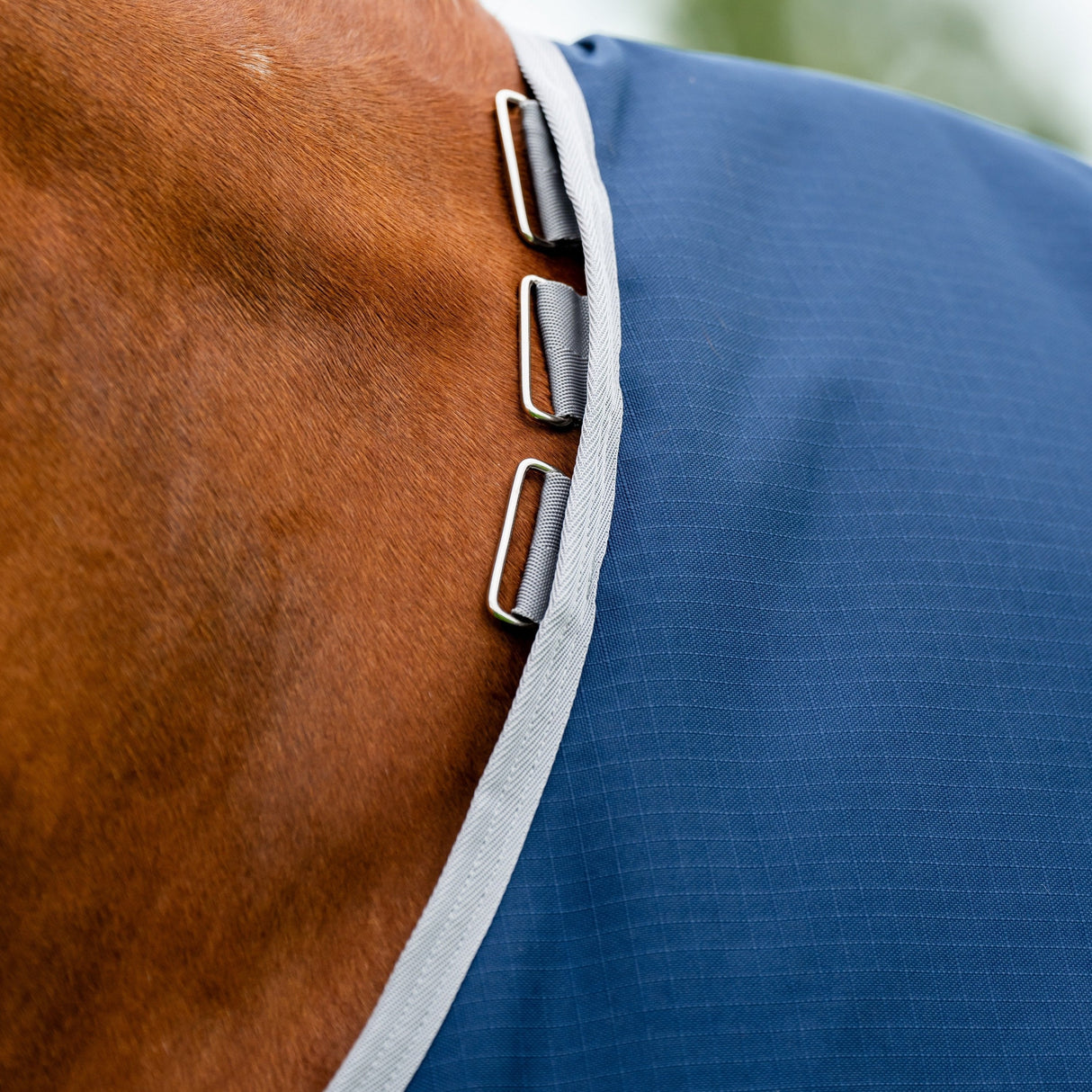 Horseware Ireland Amigo Ripstop 900D 100g Turnout Rug #colour_navy-titanium-grey