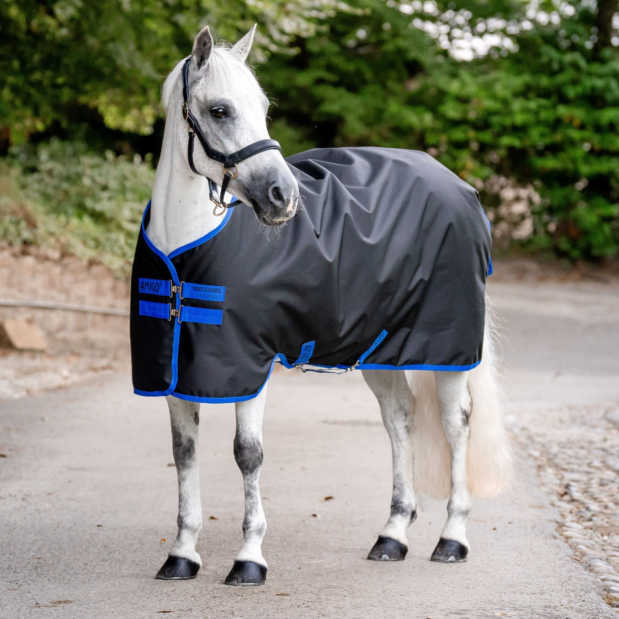 Horseware Ireland Amigo Ripstop 900D 100g Pony Turnout Rug #colour_black-classic-blue
