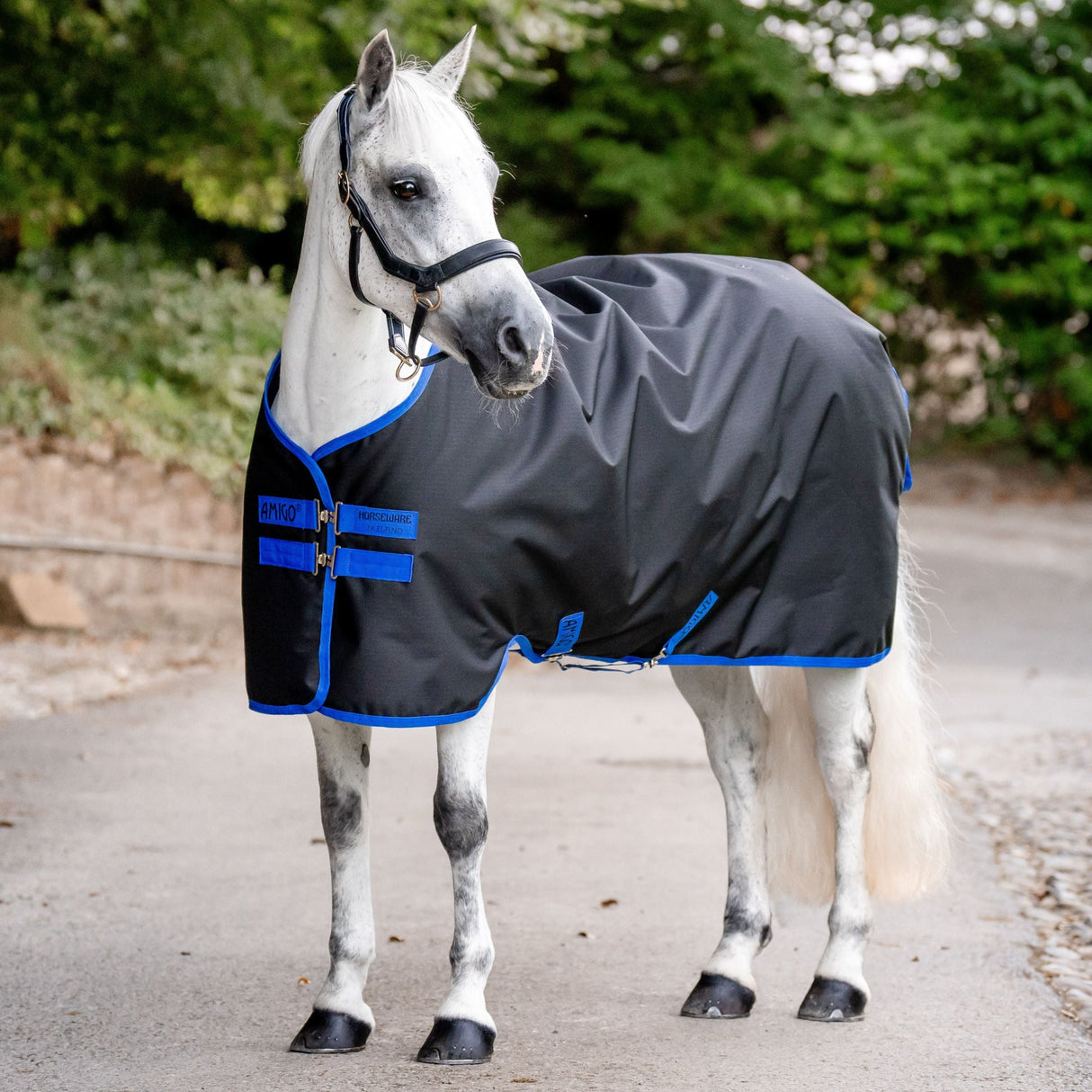 Horseware Ireland Amigo Ripstop 900D 50g Pony Turnout Rug #colour_black-classic-blue
