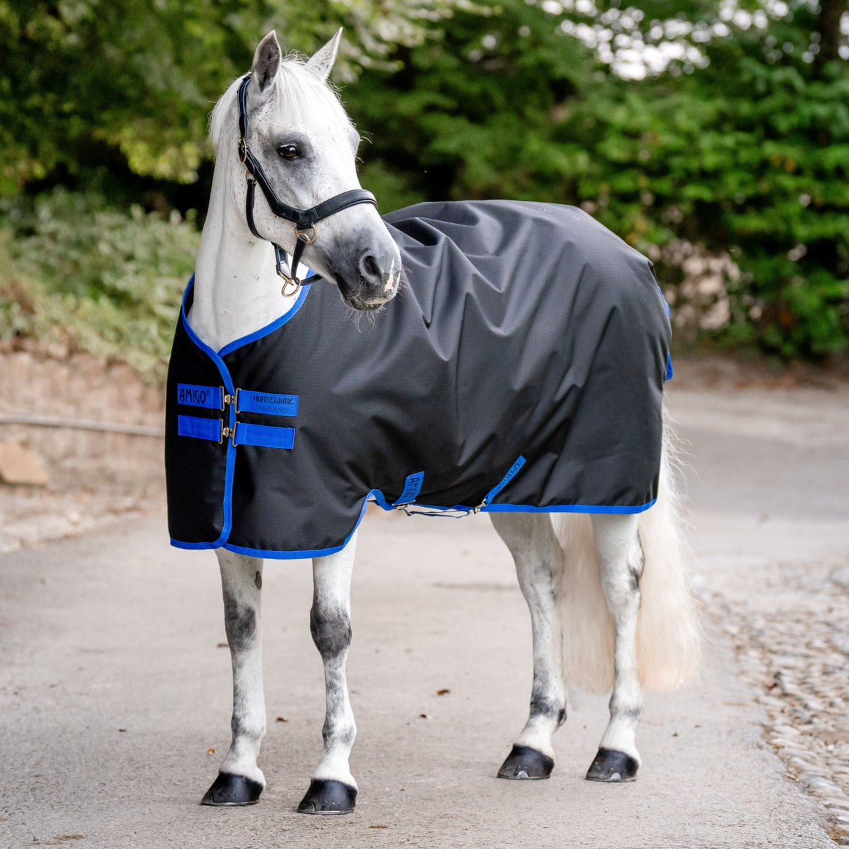 Horseware Ireland Amigo Ripstop 900D 200g Pony Turnout Rug #colour_black-classic-blue