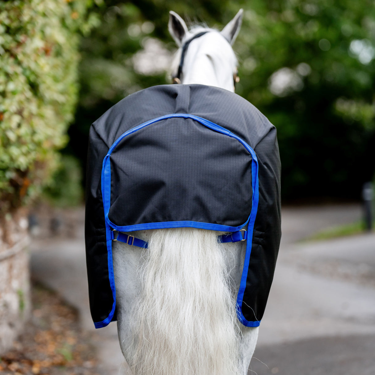 Horseware Ireland Amigo Ripstop 900D 200g Pony Turnout Rug #colour_black-classic-blue