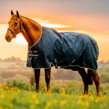 Horseware Ireland Amigo Ripstop 900D 100g Pony Turnout Rug #colour_witney-navy