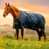 Horseware Ireland Amigo Ripstop 900D 200g Pony Turnout Rug #colour_witney-navy