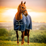 Horseware Ireland Amigo Ripstop 900D Pony 0g Turnout Rug #colour_witney-navy