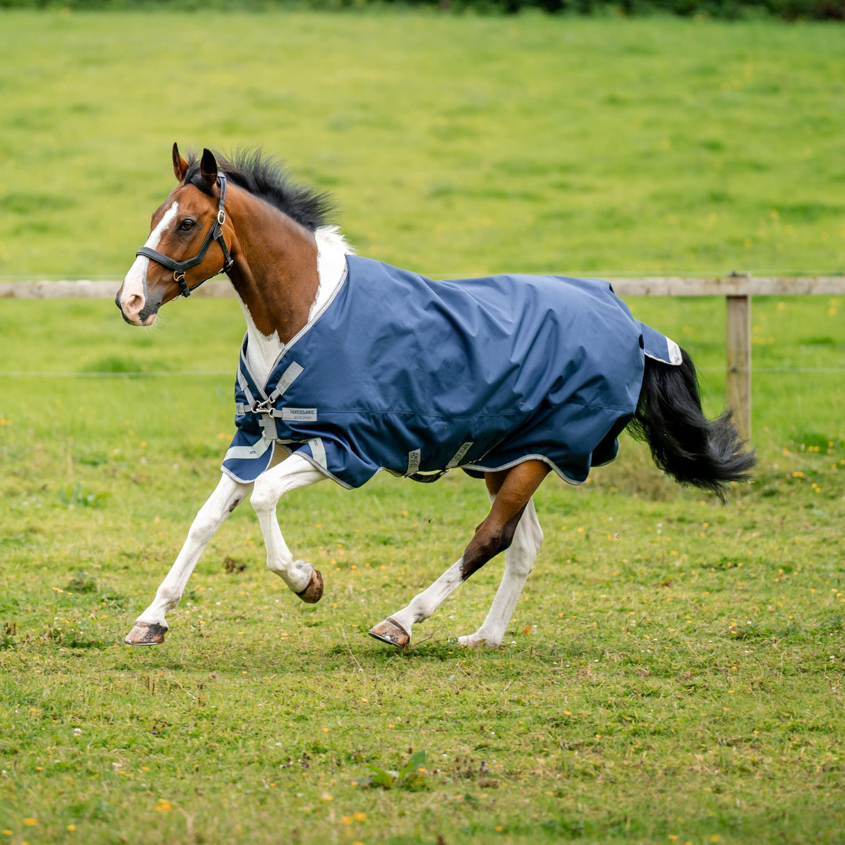 Horseware Ireland Amigo 1200D XL 150g Turnout Rug #colour_navy-titanium-grey-silver