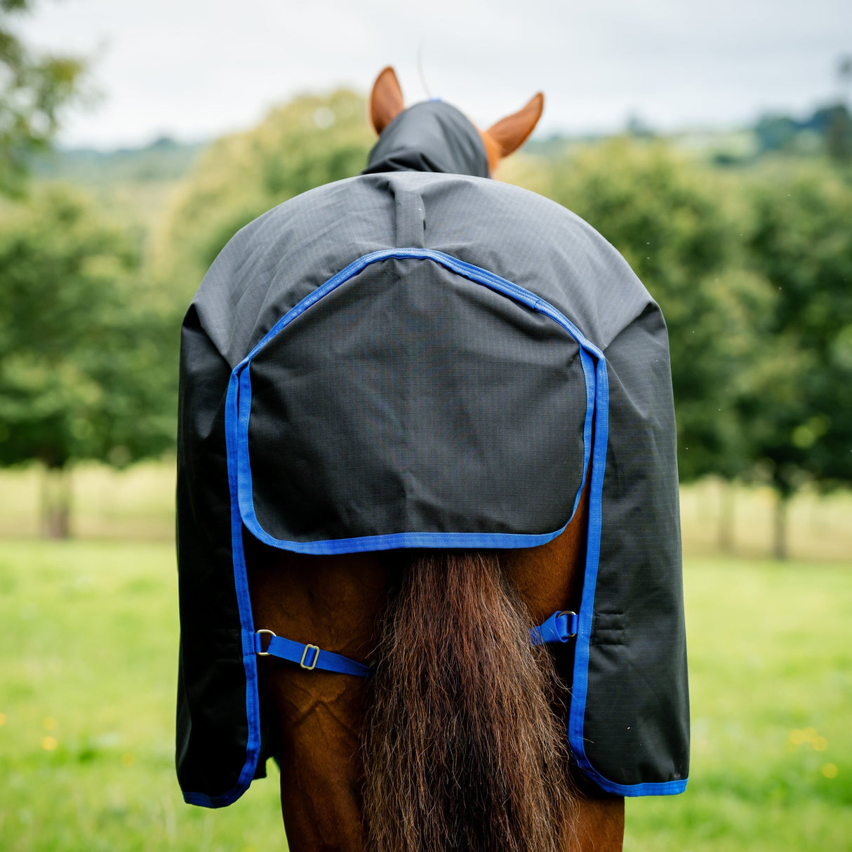 Horseware Ireland Amigo Ripstop 900 Plus 0g #colour_black-classic-blue