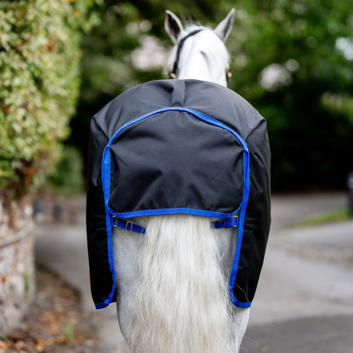 Horseware Ireland Amigo Ripstop 900D Plus 100g Pony Turnout Rug #colour_black-classic-blue