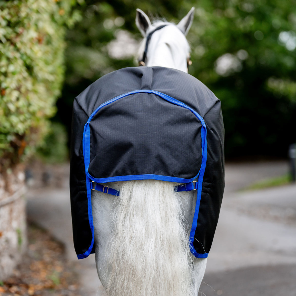 Horseware Ireland Amigo Ripstop 900D Plus 50g Pony Turnout Rug #colour_black-classic-blue