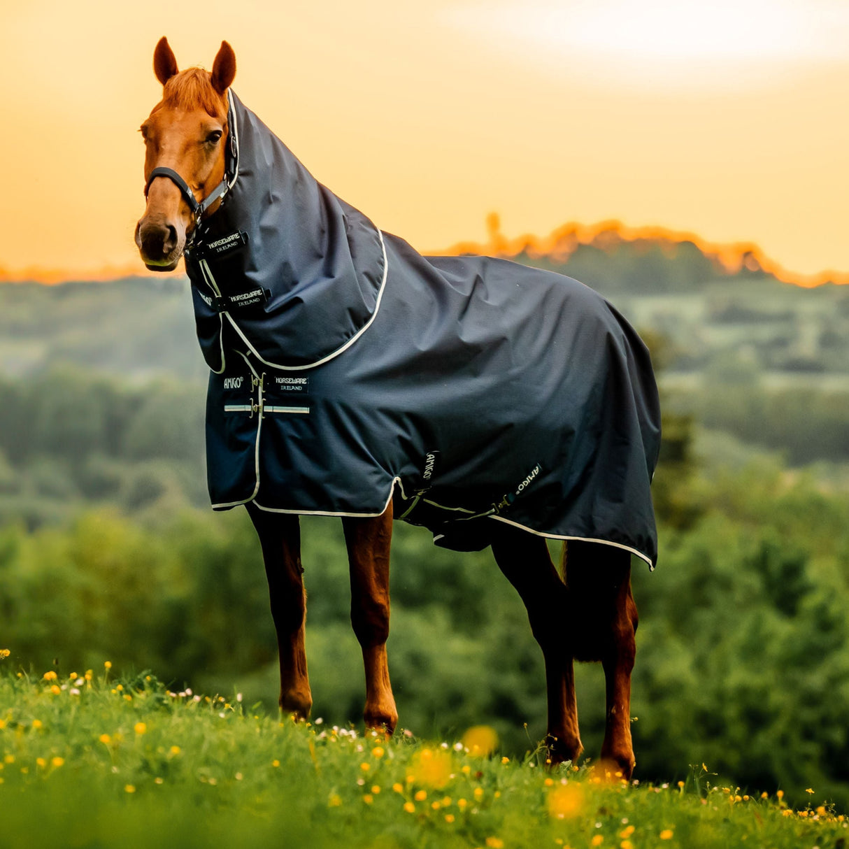 Horseware Ireland Amigo Ripstop 900D Plus 100g Pony Turnout Rug #colour_witney-navy