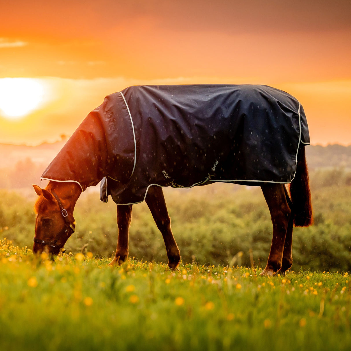 Horseware Ireland Amigo Ripstop 900D Plus 200g Pony Turnout Rug #colour_witney-navy