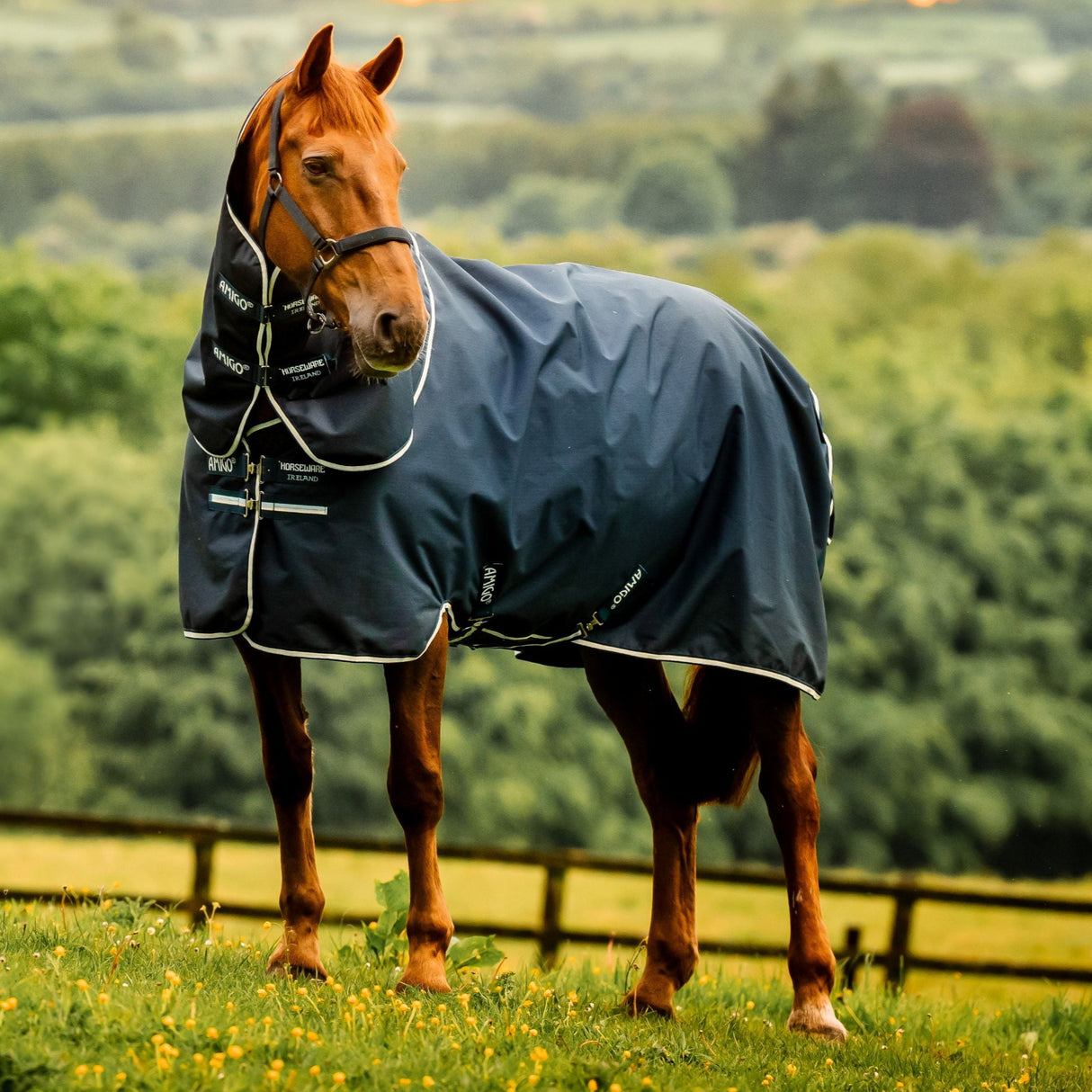 Horseware Ireland Amigo Ripstop 900D Plus 100g Pony Turnout Rug #colour_witney-navy