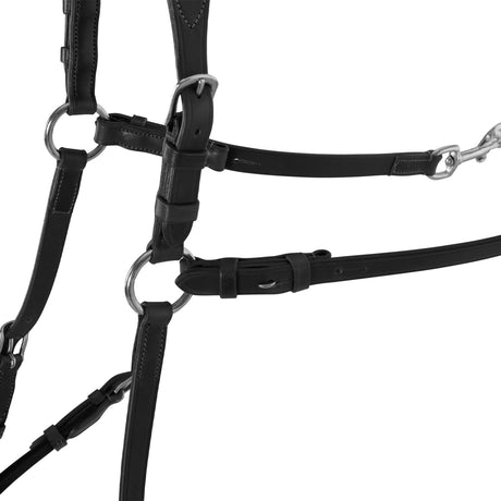 Acavallo Five-Point Breastplate Calfskin #colour_black
