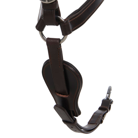 Acavallo Five-Point Breastplate Calfskin #colour_brown