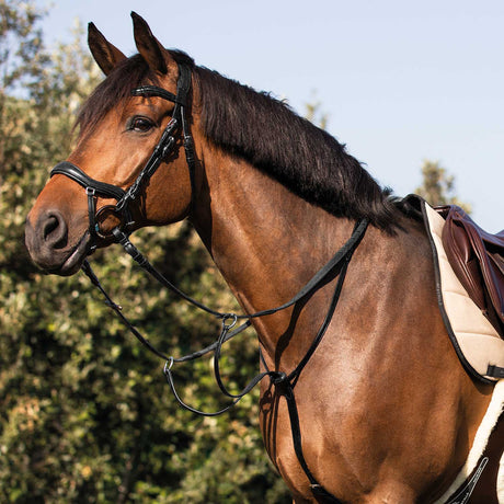Acavallo Collier Martingale Calfskin #colour_black