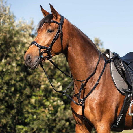 Acavallo Three-Point Breastplate Calfskin #colour_black