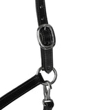 Acavallo Halter Anatomical Leather Rope Noseband #colour_black