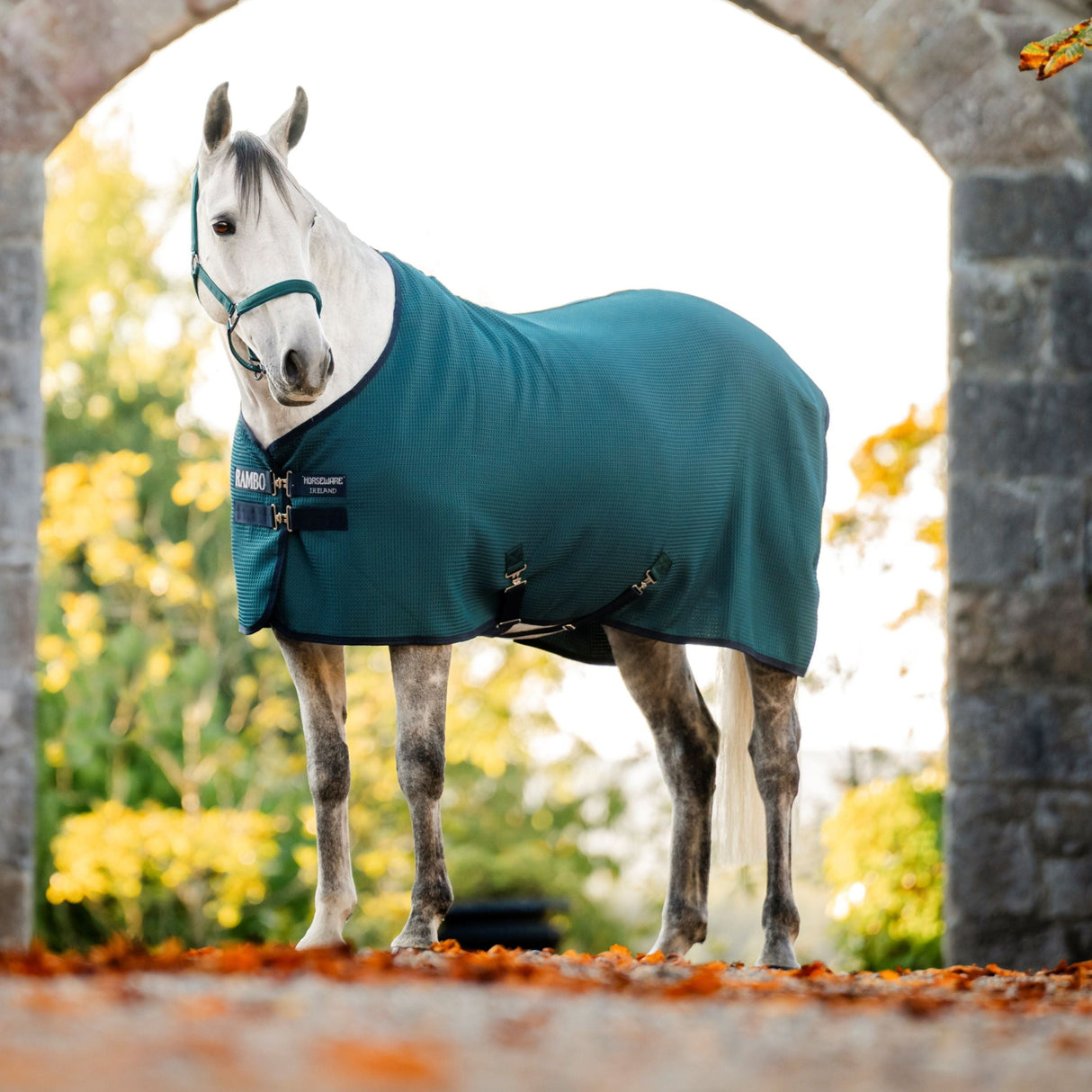 Horseware Ireland Rambo Techni Waffle Cooler #colour_dynasty-green-navy-silver