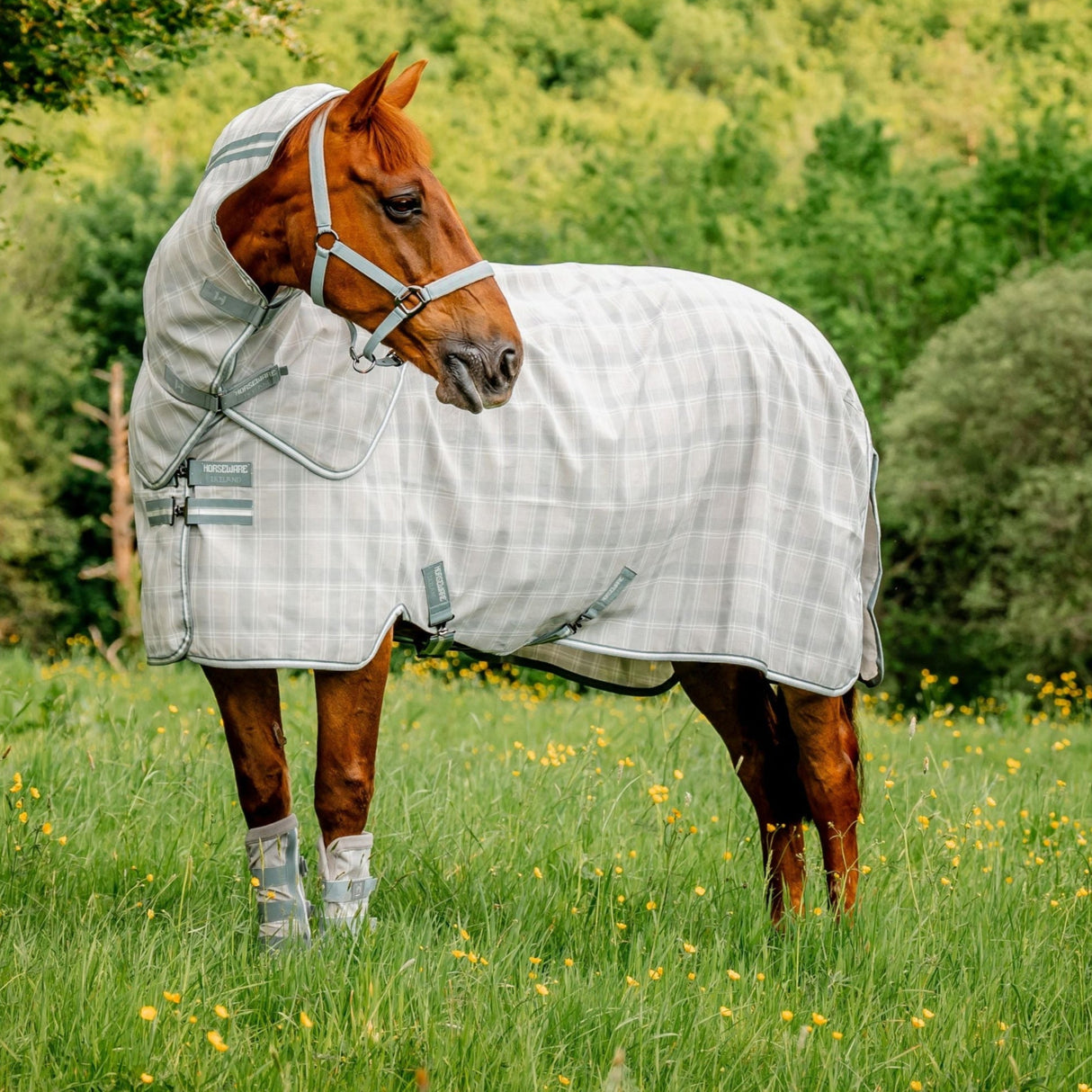 Horseware Ireland Newmarket Plus Fly Sheet #colour_witney-charcoal