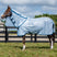 Horseware Ireland Amigo Bug Rug Plus #colour_azure-blue-navy-electric-blue
