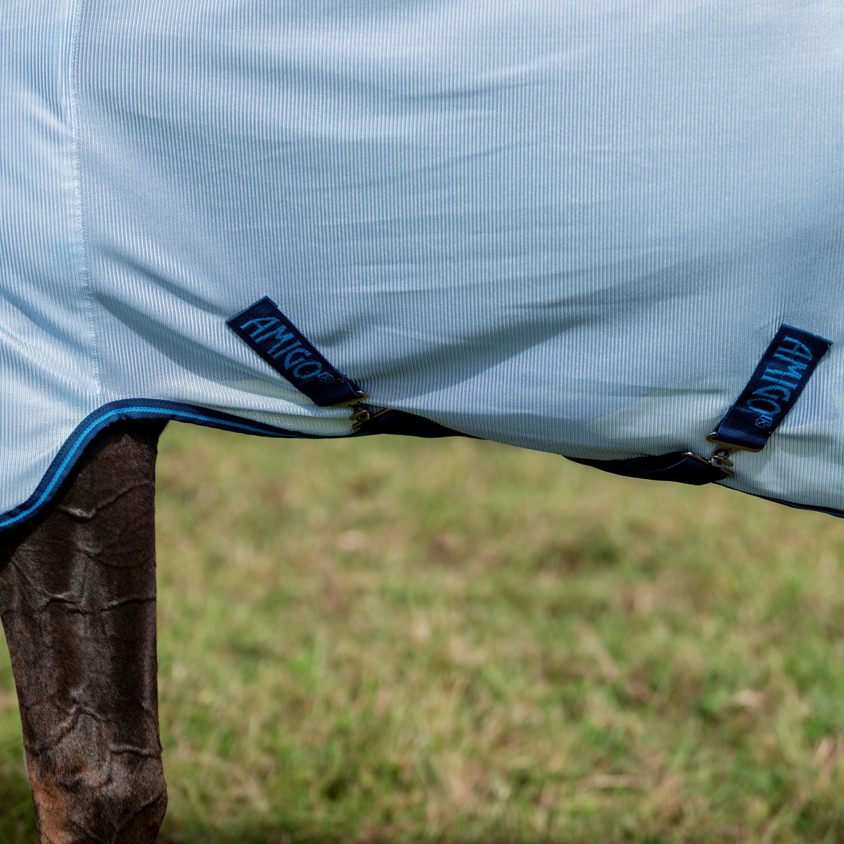 Horseware Ireland Amigo Bug Rug Plus #colour_azure-blue-navy-electric-blue