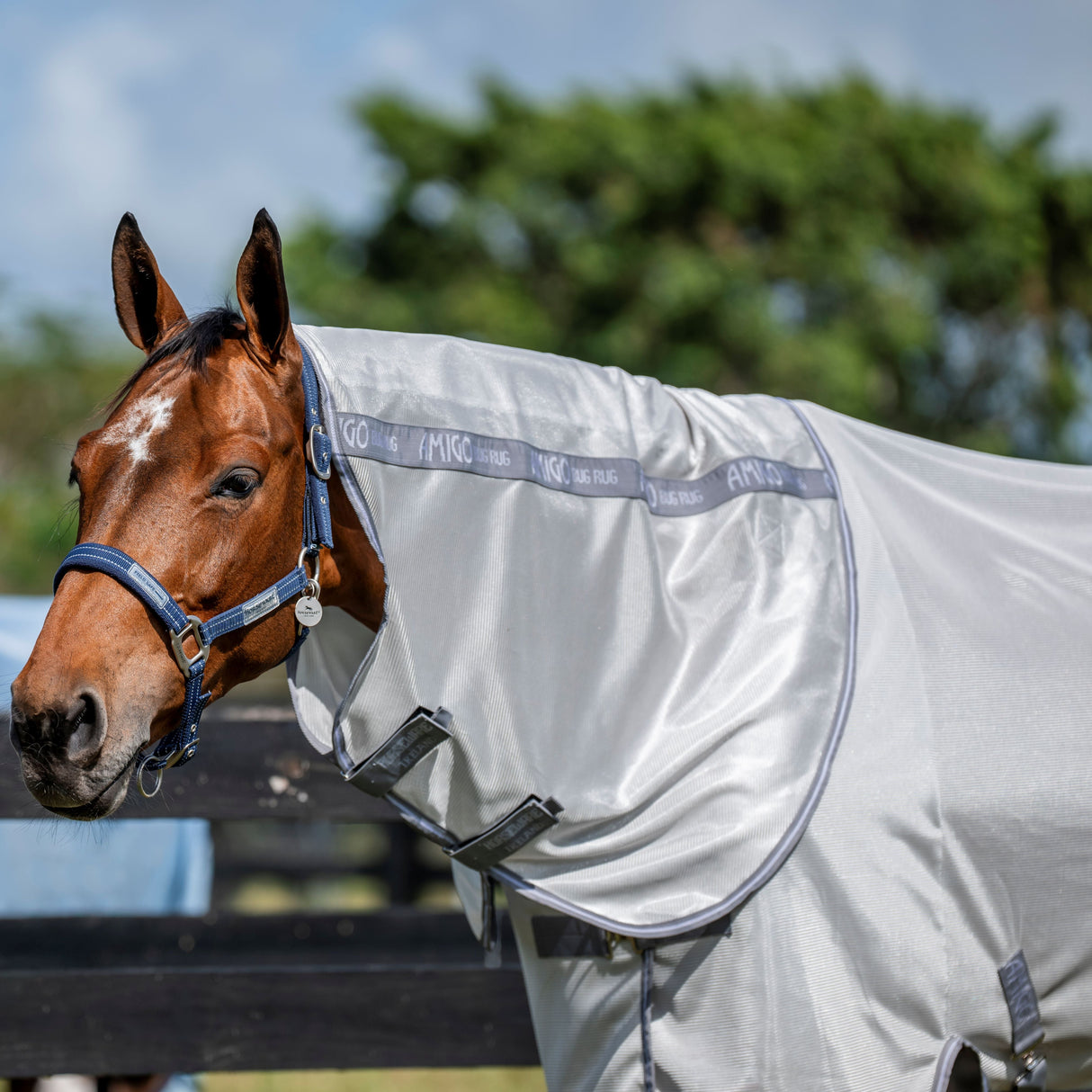 Horseware Ireland Amigo Bug Rug Hood #colour_silver-titanium-grey-silver