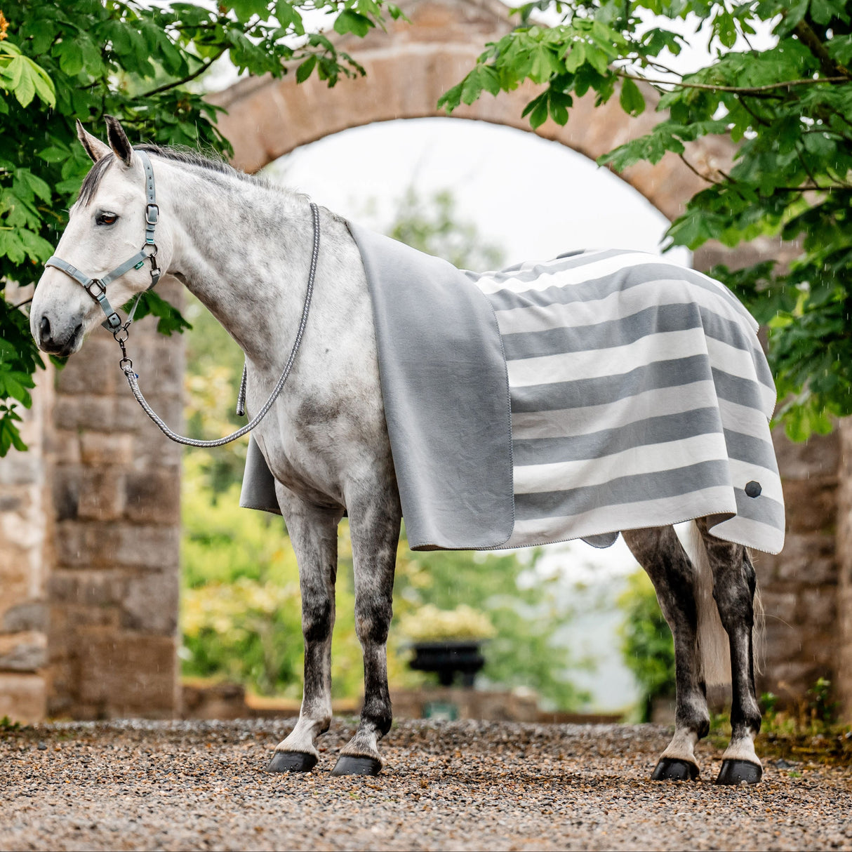 Horseware Ireland Newmarket Fleece Blanket #colour_whitney-charcoal