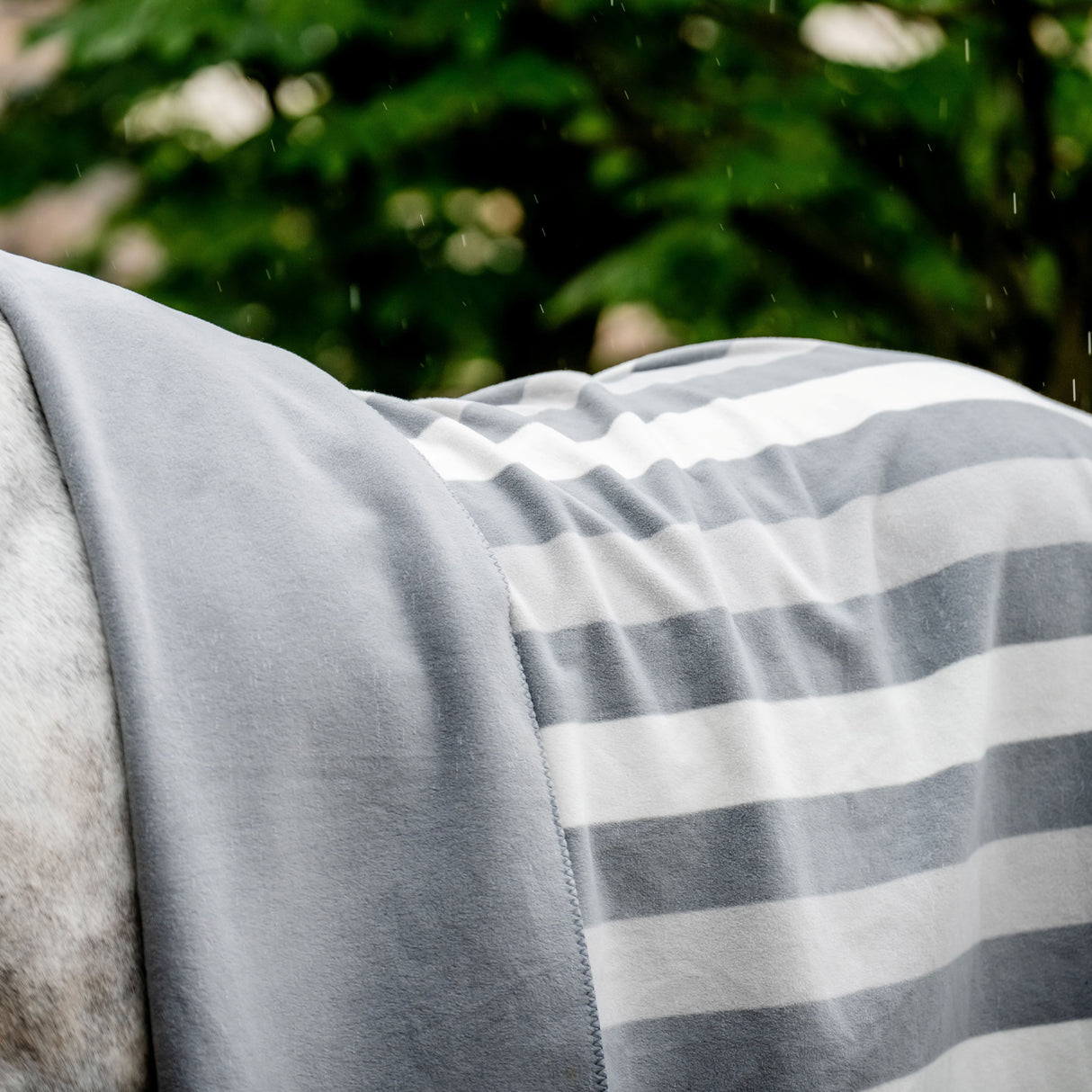 Horseware Ireland Newmarket Fleece Blanket #colour_whitney-charcoal