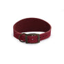 Ancol Timberwolf Hound Collar #colour_raspberry