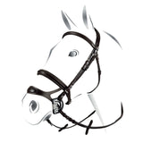 Equestro Equestro Combined Model Bridle