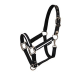 Halter with fleece padding and snap hook