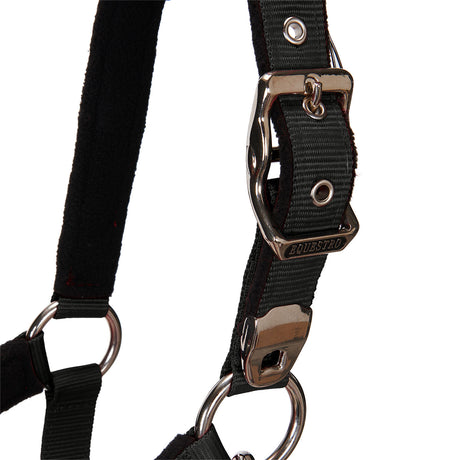Padded double adjustment headcollar