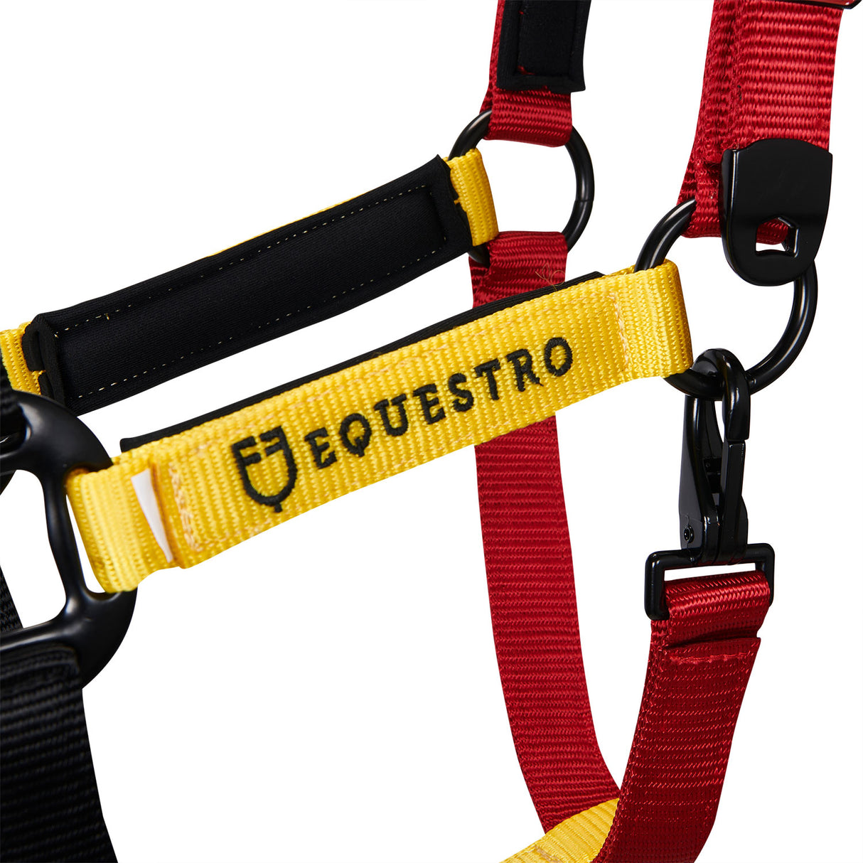 Equestro Nylon Halter With Snap Hook #colour_black
