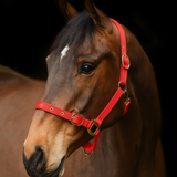 Equi-Sential Nylon Clip Headcollar #colour_red