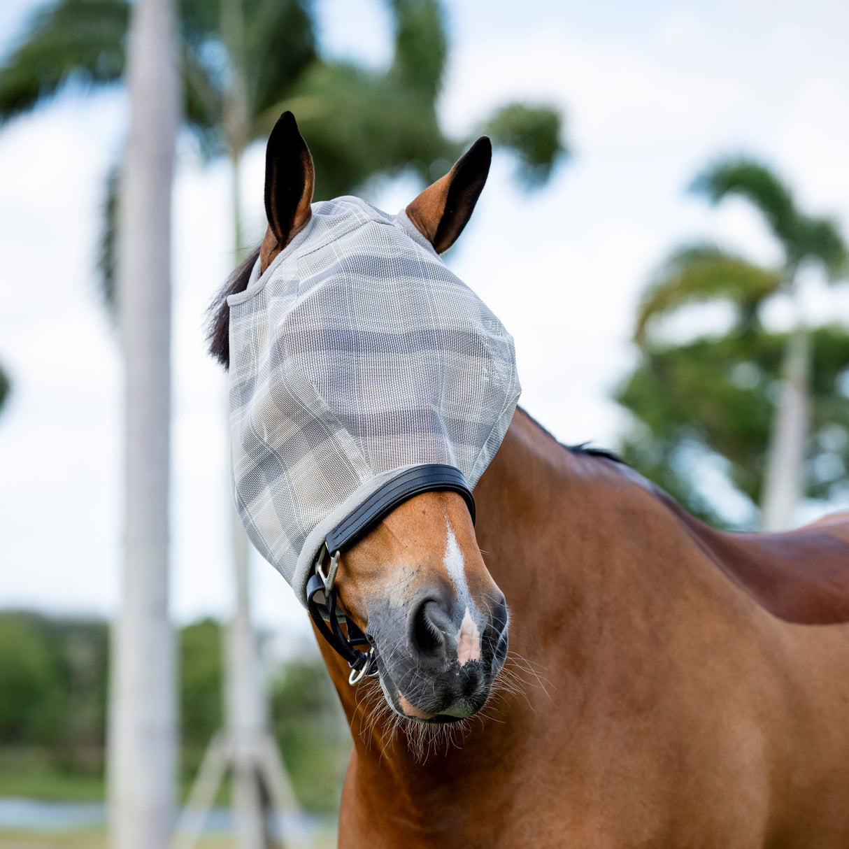Horseware Ireland Newmarket No Ears Fly Mask #colour_witney-charcoal