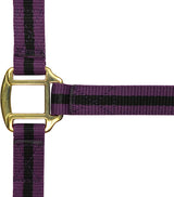 Norton Leather Lined Nylon Headcollar