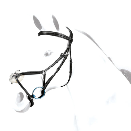 Equipe Grackle No Stress #colour_black