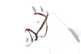Equipe Patent Detail Flash Bridle #colour_red-brown