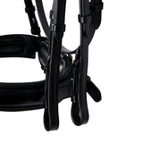 Equestro Leather Dressage Bridle Without Reins #colour_black