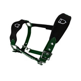 Equestro Halter With Double Adjustment And Lead Rope #colour_green