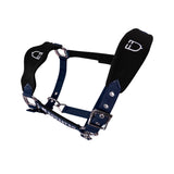 Equestro Halter With Double Adjustment And Lead Rope #colour_blue