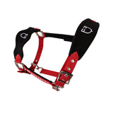 Equestro Halter With Double Adjustment And Lead Rope #colour_red