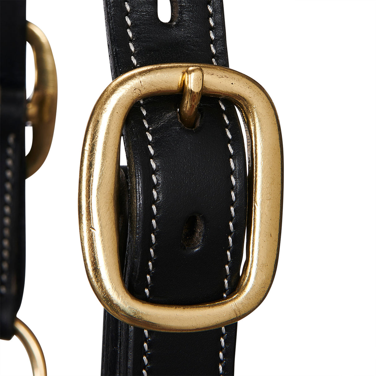 Equestro Soft Leather Halter With Durable Buckles #colour_black