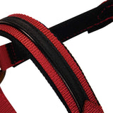 Equestro Durable Fleece Halter #colour_red