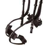 Equestro Collegiate Comfitec Anatomic Leather Bridle