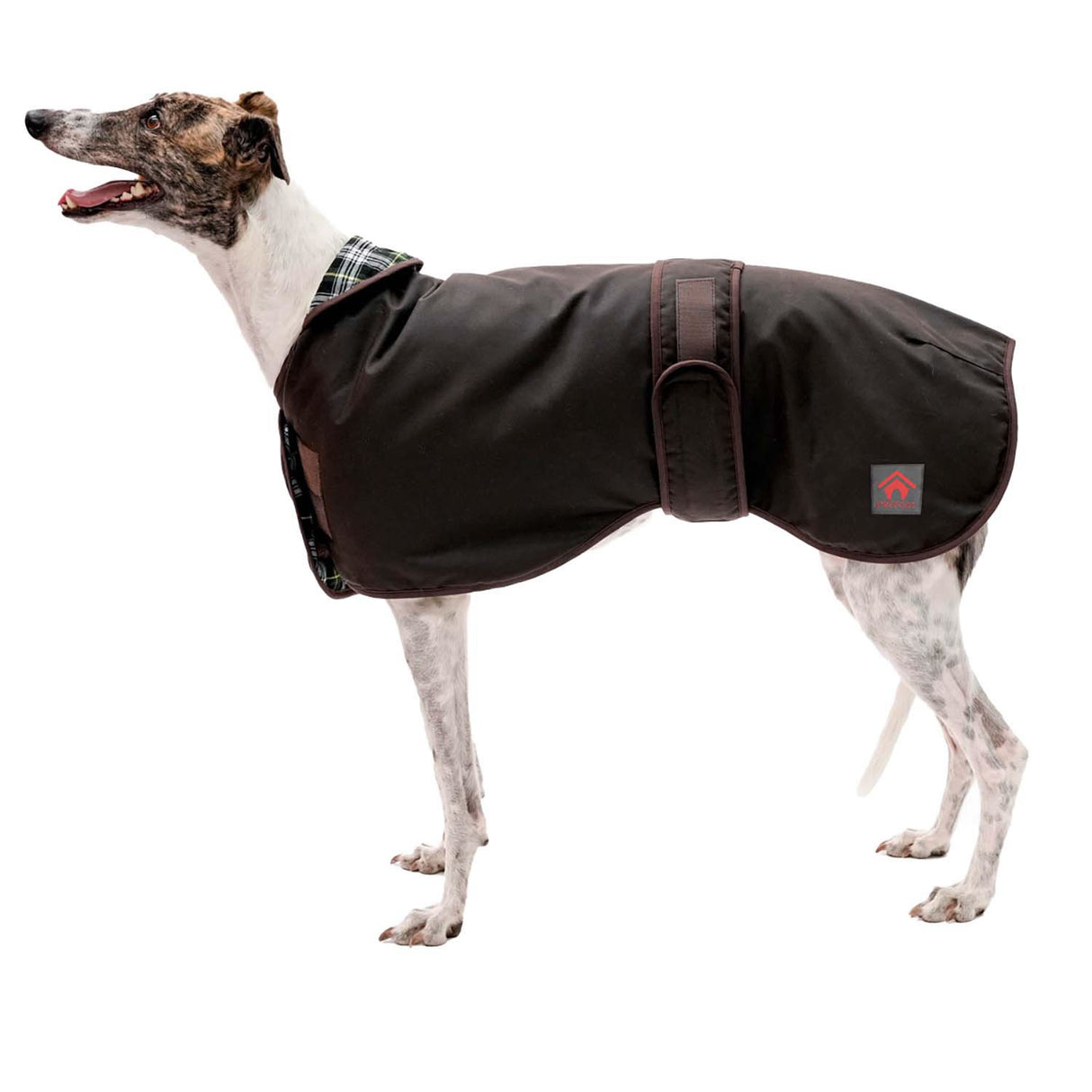 Firefoot Sighthound 코트