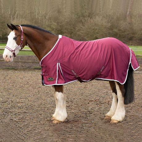 Gallop Summer Sheet #colour_burgundy