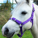 Gallop Headcollar & Lead Rope Set