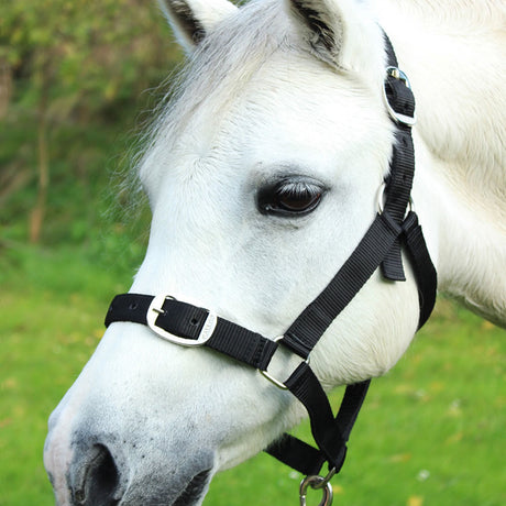 Gallop Headcollar & Lead Rope Set