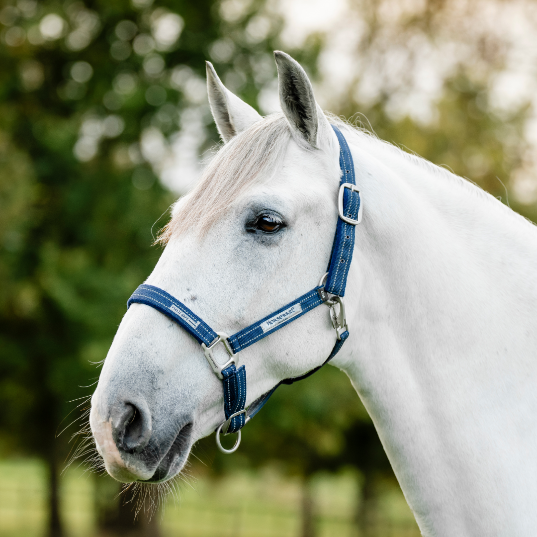 Horseware Ireland Field Safe Headcollar #colour_navy