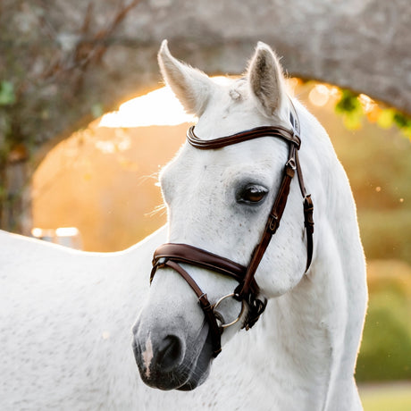 Horseware Ireland Pony Flash Bridle #colour_brown